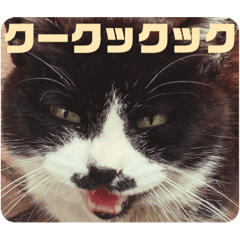 Omochi_20220728224606