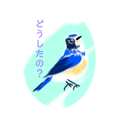 suzu_20220729004336