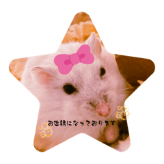 aoi_20220729134356