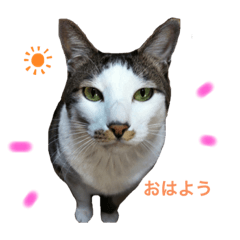 SHIHO_20220729114115