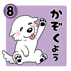 【家族連絡用】ピレネー犬8 (兵庫県)