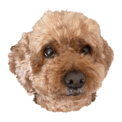 Natsumi_20220729161247