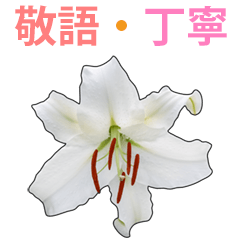 カサブランカと白ユリ花の写真 敬語と丁寧2