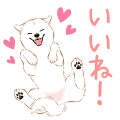Love dog White Shiba (large letters)