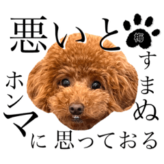 shonshon_20220729010435