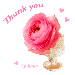 Hana's Flower