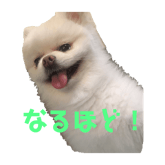 TonTon_20220729172504