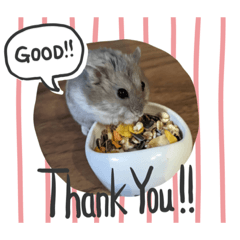 mizuki_20220729194004