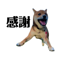 hiyori_20220729193024