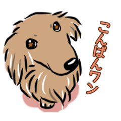 akari_20220728181325