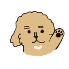 Bori, the bob hair puppy