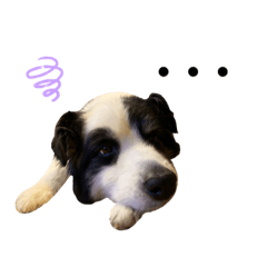 jack_20220729232033