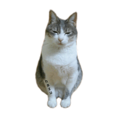 noico_20220729210008