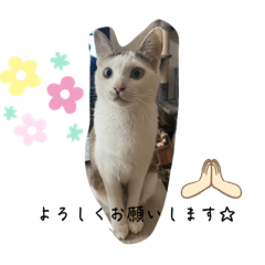 hana_20220730015022