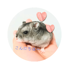 Kota-chan"Greeting"