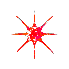 TEST_STAR_20