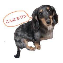 yukari_20220730123753