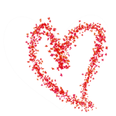 TEST_Sweet Heart_69
