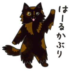 40 Nagano Cats!