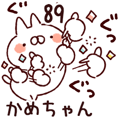 The kamechan89