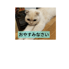 yukari_20220730131507