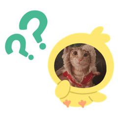 毛小孩的小小日常生活