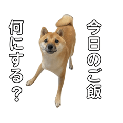 Yuka_20220730164952