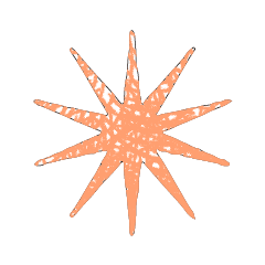 TEST_STAR_10