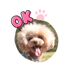 maichi_20220730211822