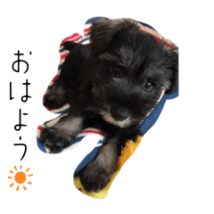 arisa_20220730185208