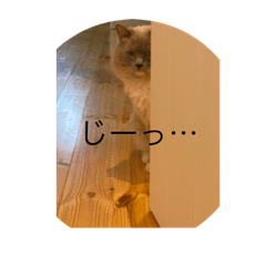 c_20220730214634