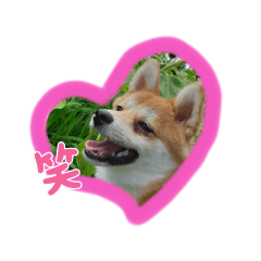 suzu_20220730180629