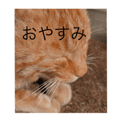 hana_20220730222816