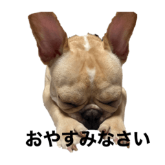 shiho_20220730224459