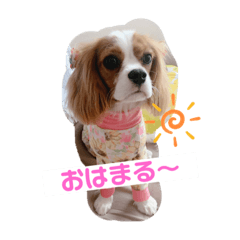 misa_20220730205852