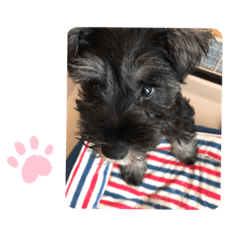 arisa_20220730233419