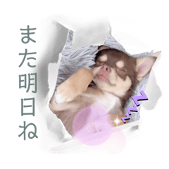 kaori_20220731034400