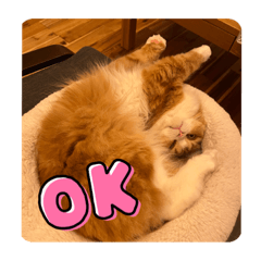 saori_20220731070335