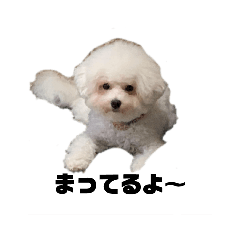 NOri_202207310939071