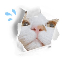 Natsumi _20220731113133