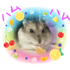 arisa_20220731002142