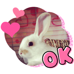 zaori_20220731120839