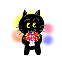 黒猫の日常 vol 1
