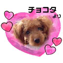 yuka_20220731155059