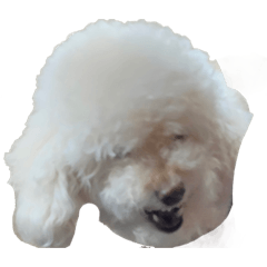 momoko_20220731005658