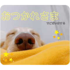 yuka_20220731170859
