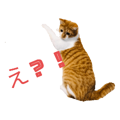 omochi_20220731161523