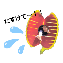 Ayano_20220731153911