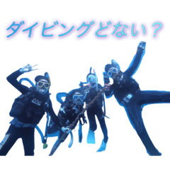 Whats Up Niigata