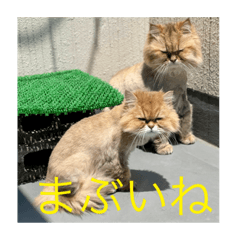 NH_20220731184905